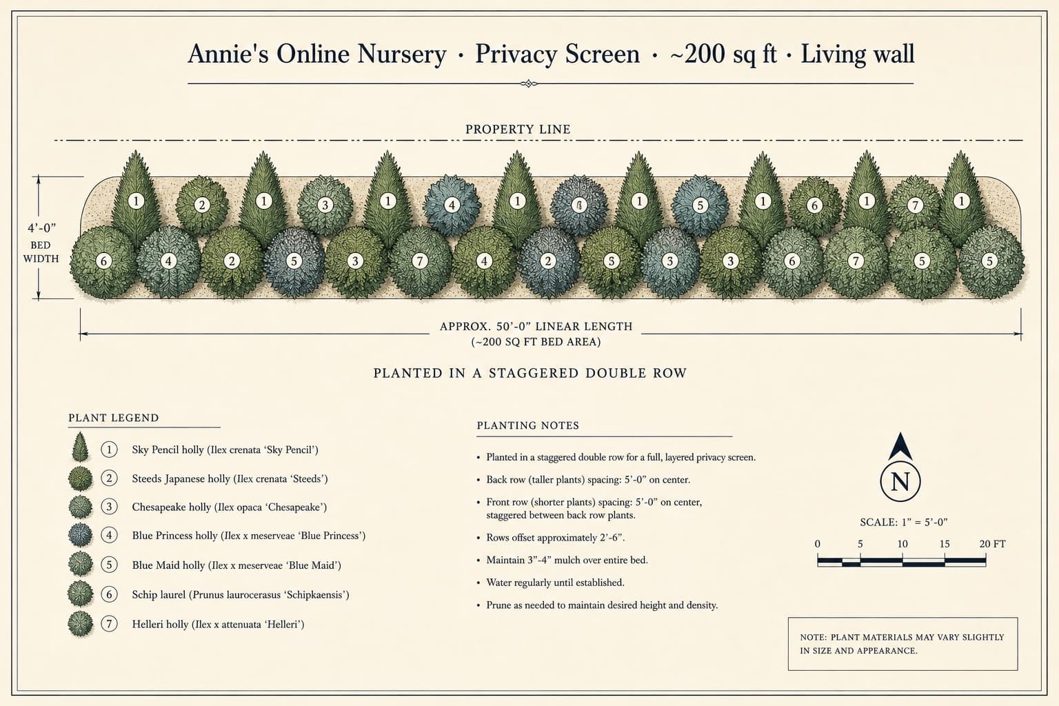 Privacy Screen planting blueprint with labeled plant placements