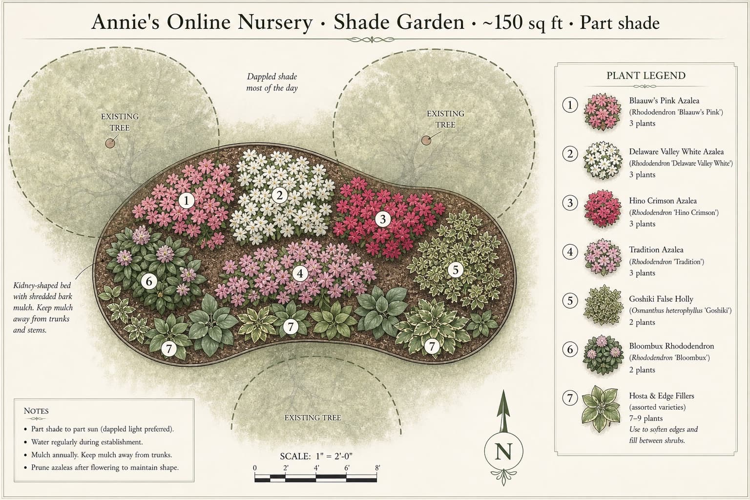 Shade Garden planting blueprint with labeled plant placements